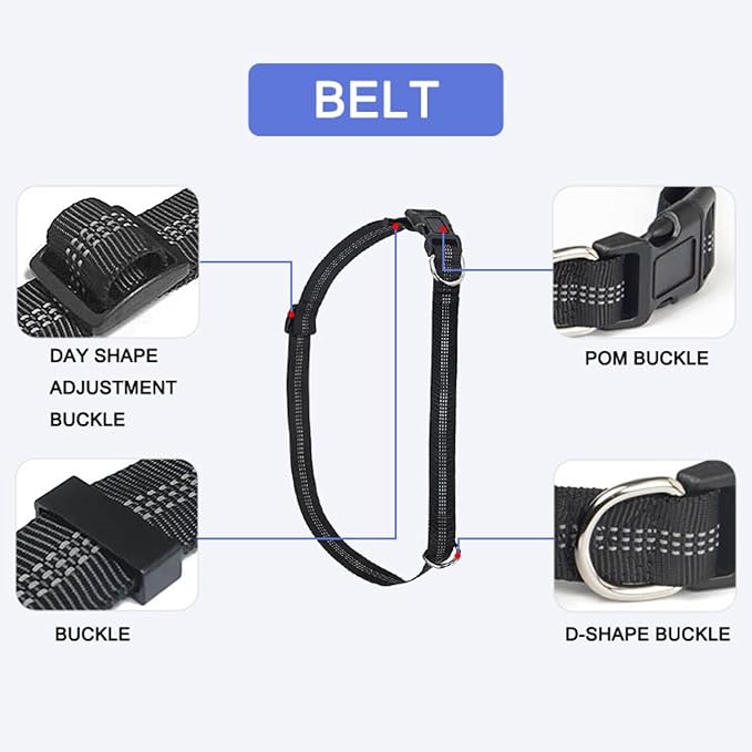 PETZY Hands-Free Dog Leash