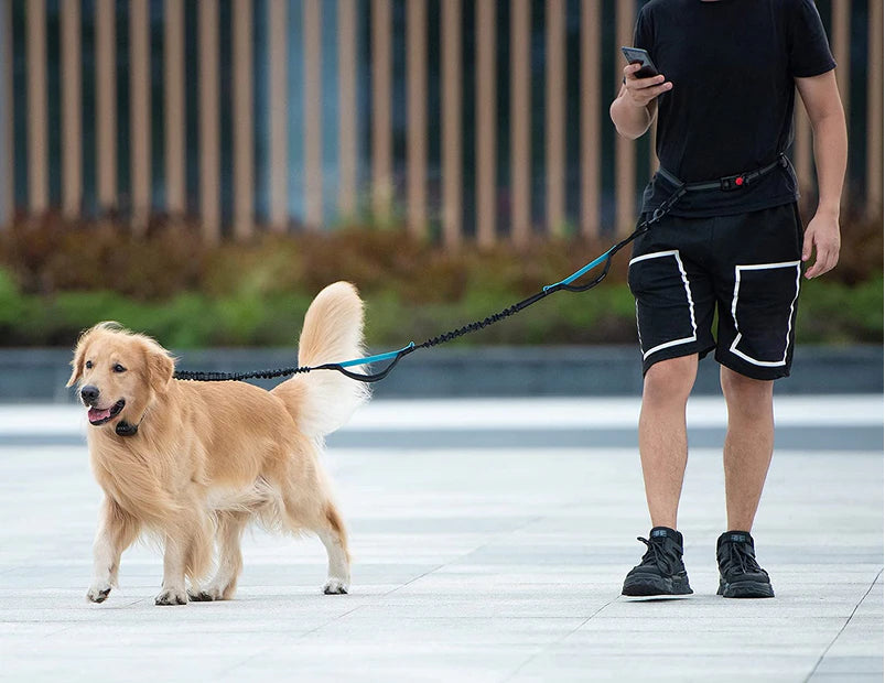 PETZY Hands-Free Dog Leash