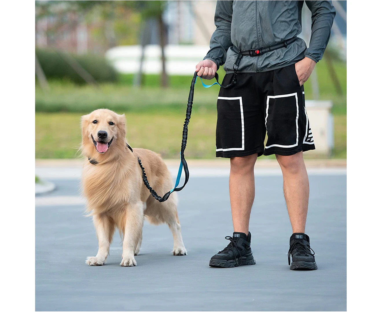 PETZY Hands-Free Dog Leash