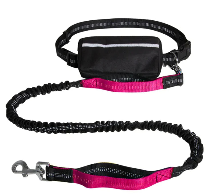 PETZY Hands-Free Dog Leash