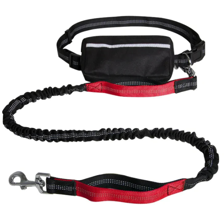 PETZY Hands-Free Dog Leash