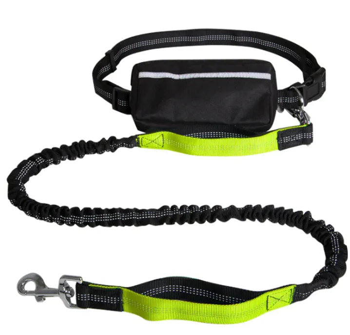 PETZY Hands-Free Dog Leash