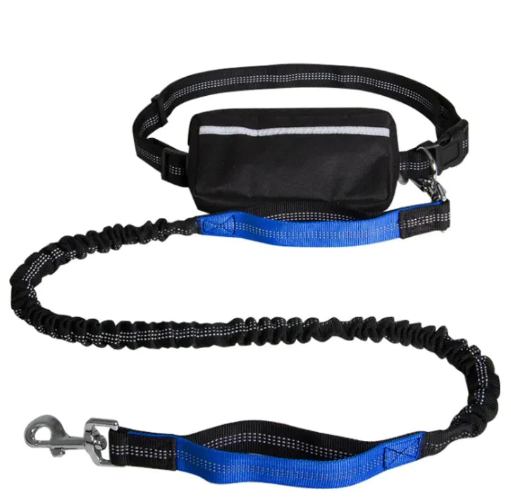 PETZY Hands-Free Dog Leash