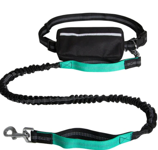 PETZY Hands-Free Dog Leash
