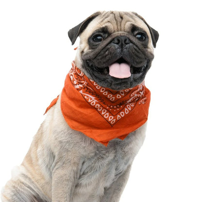 PETZY Hip Hop Cotton Paisley Bandanas