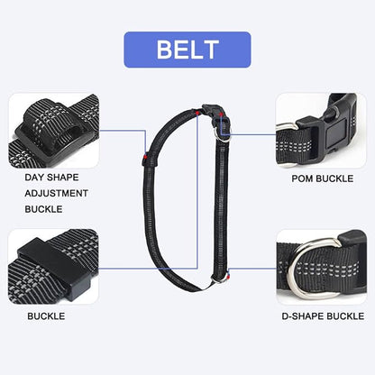 PETZY Hands-Free Dog Leash