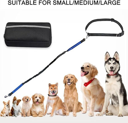 PETZY Hands-Free Dog Leash