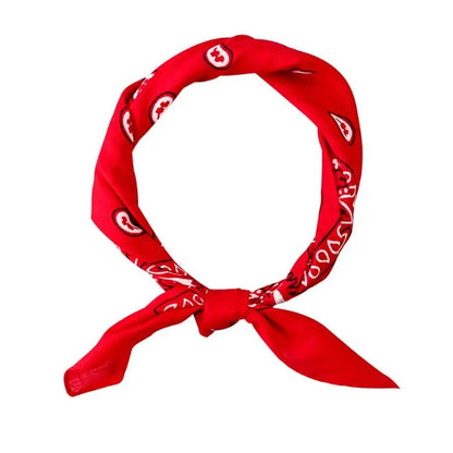 PETZY Hip Hop Cotton Paisley Bandanas