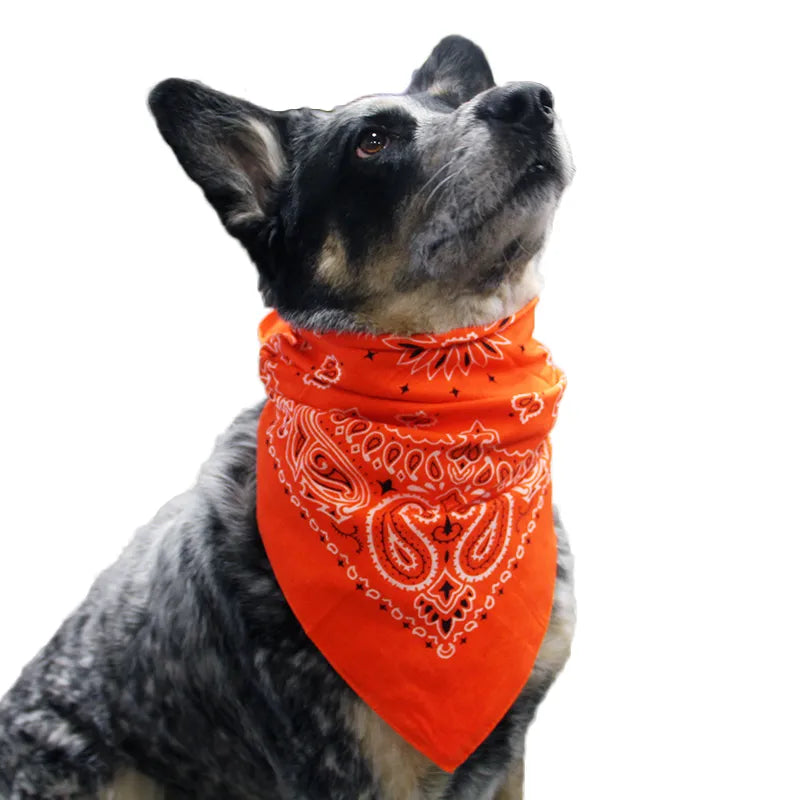 PETZY Hip Hop Cotton Paisley Bandanas