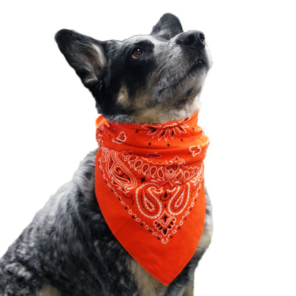 PETZY Hip Hop Cotton Paisley Bandanas
