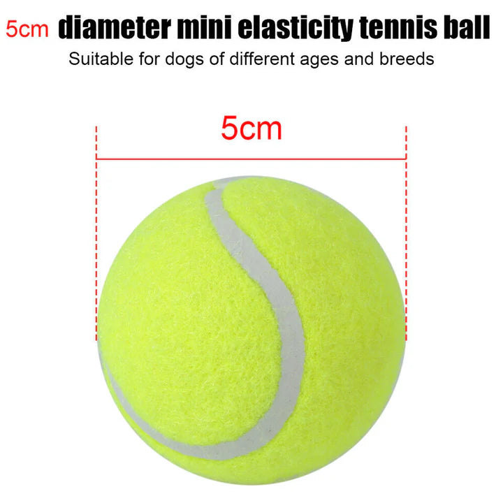 Automatic Tennis Ball Launcher