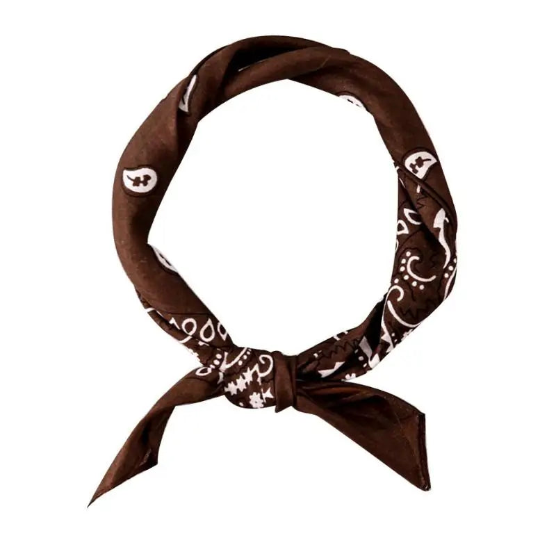 PETZY Hip Hop Cotton Paisley Bandanas